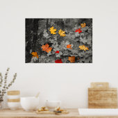 白葉黒の世界のポスターに彩られた色のポスター ポスター (キッチン)