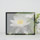 白蓮の水の花 (スタンド正面)
