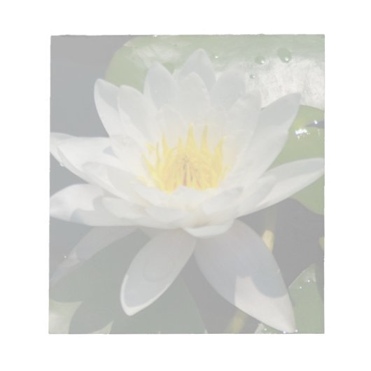 白蓮の水の花 ノートパッド (正面)