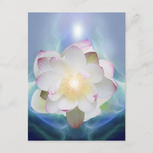 白蓮の花を水晶に ポストカード (正面)