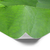 白蓮の花キャンバス印刷 ポスター (角)