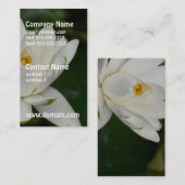 白蓮教 名刺 (正面/裏面)