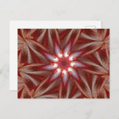 白蓮10 ポストカード (正面/裏面)