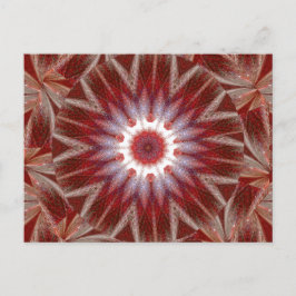 白蓮11 ポストカード