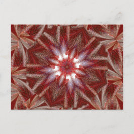 白蓮12 ポストカード