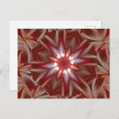 白蓮12 ポストカード (正面/裏面)