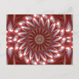 白蓮14 ポストカード