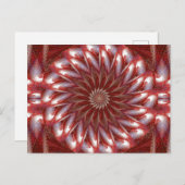 白蓮14 ポストカード (正面/裏面)