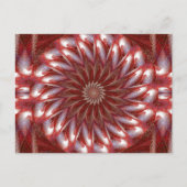 白蓮14 ポストカード (正面)