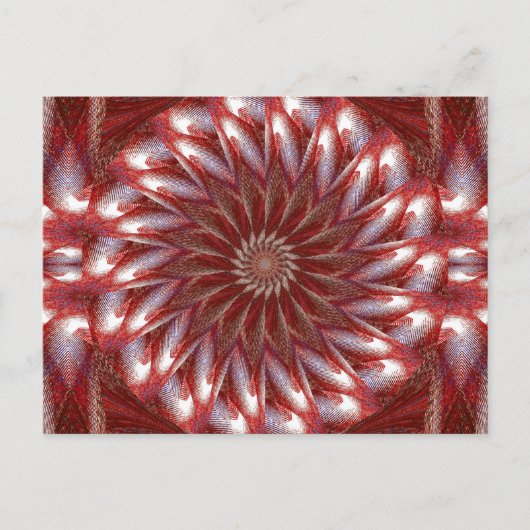 白蓮14 ポストカード (正面)