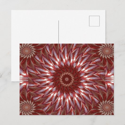 白蓮15 ポストカード (正面/裏面)