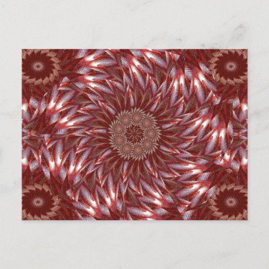 白蓮17 ポストカード (正面)