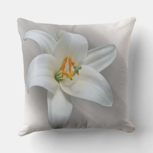 白蓮 クッション (裏面)