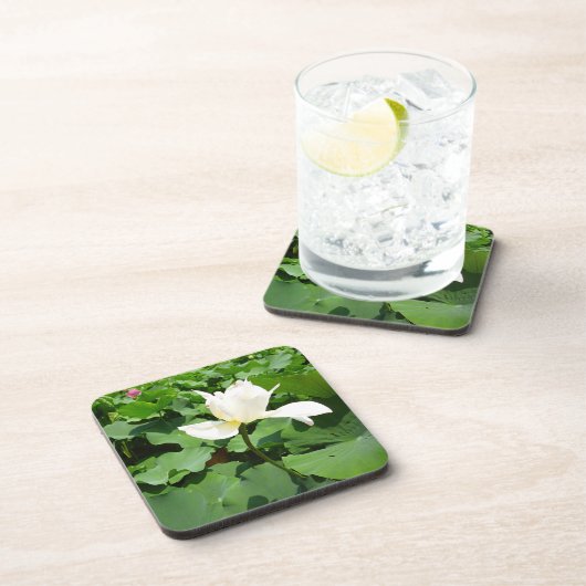 白蓮 コースター (右側)