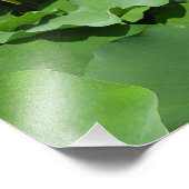 白蓮 フォトプリント            (角)