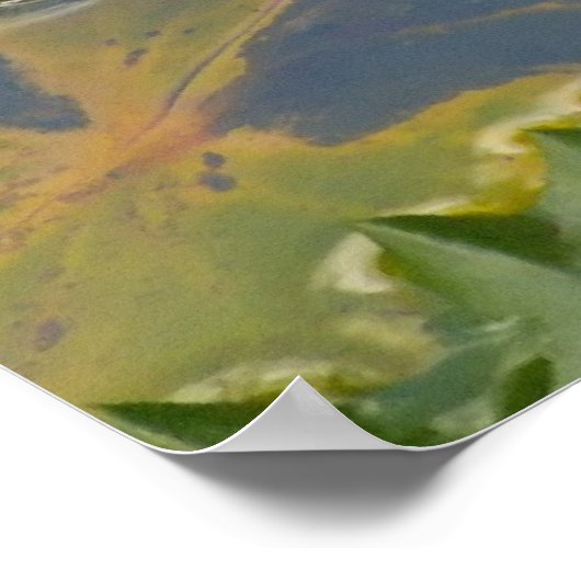 白蓮 ポスター (角)