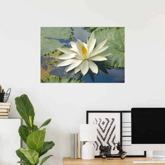 白蓮 ポスター (ホームオフィス)