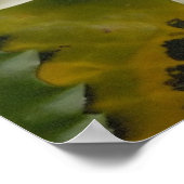 白蓮 ポスター (角)