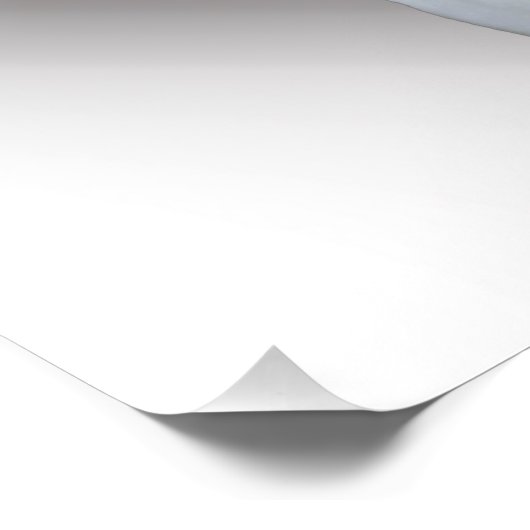 白蓮 ポスター (コーナー)