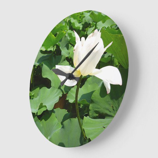 白蓮 ラージ壁時計 (傾斜)