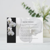 白蘭の情報シート エンクロージャーカード (スタンド正面)