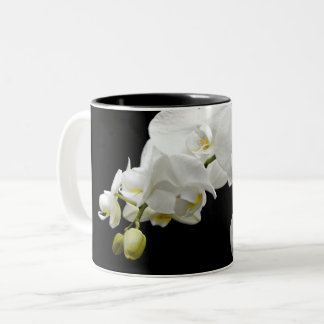 白蘭の花 ツートーンマグカップ