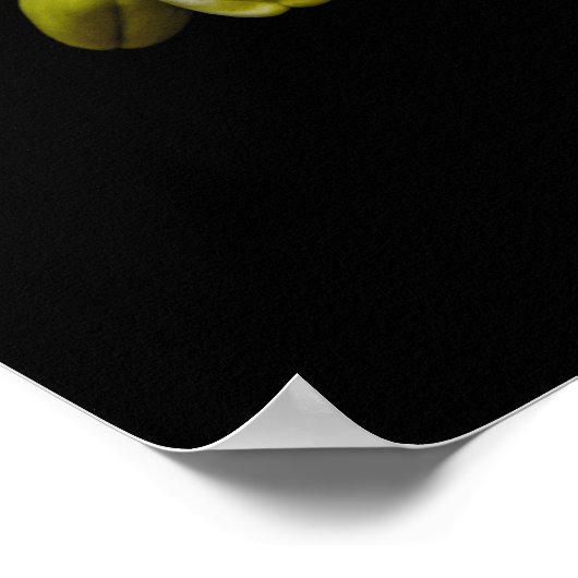 白蘭の花 ポスター (角)