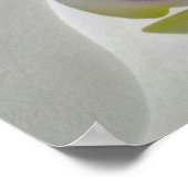 白蘭ポスター ポスター (角)