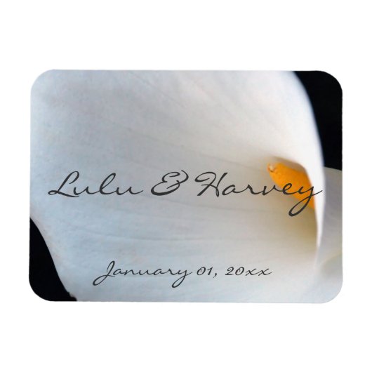 白蘭個人用磁石 マグネット (横)