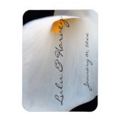 白蘭個人用磁石 マグネット (縦)