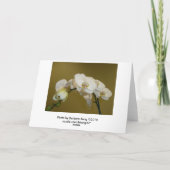 白蘭 カード (裏面)