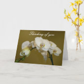 白蘭 カード (黄色い花)