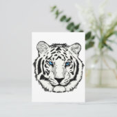 白虎の葉書 ポストカード (スタンド正面)