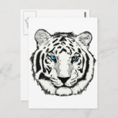 白虎の葉書 ポストカード (正面/裏面)
