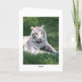 白虎緑草縦枠写真 カード (裏面)