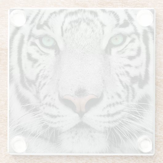 白虎 ガラスコースター (裏面)