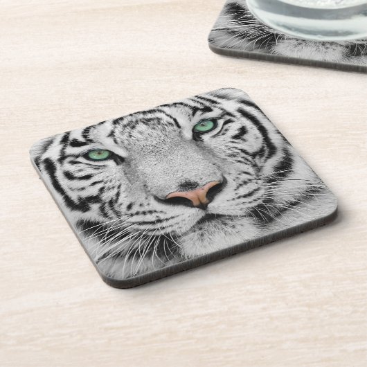 白虎 コースター (左側)