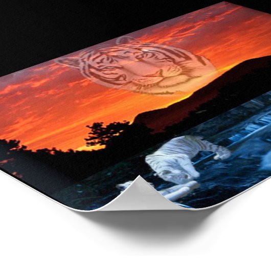 白虎 ポスター (角)