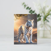 白虎 ポストカード (スタンド正面)