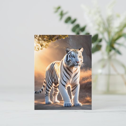 白虎 ポストカード (スタンド正面)