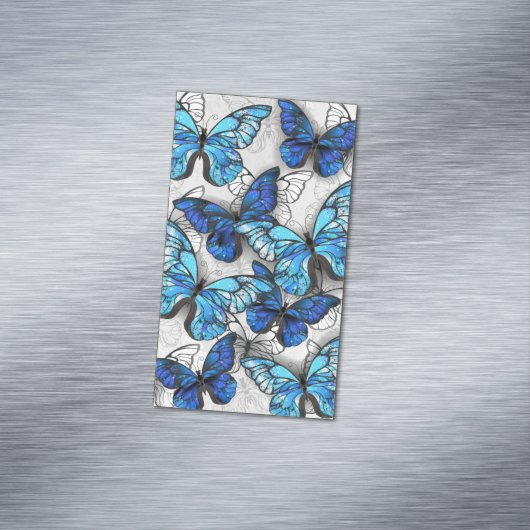 白蝶と青蝶の構成 マグネット名刺 (インサイチュ)