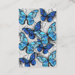 白蝶と青蝶の構成 名刺