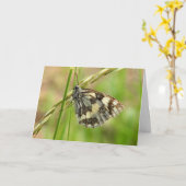 白蝶の大雪の草 カード (黄色い花)