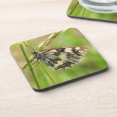 白蝶の大雪の草 コースター (左側)