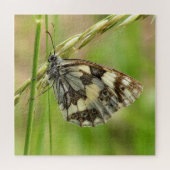 白蝶の大雪の草 ジグソーパズル (横)