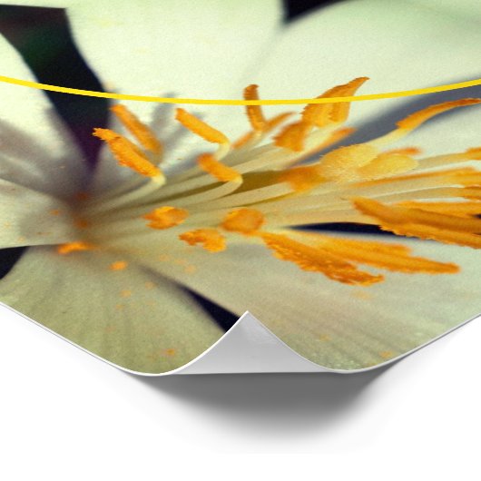 白血の花枠自分の写真を作成 ポスター (角)