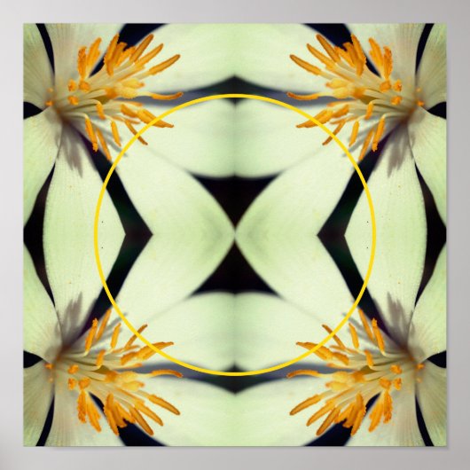 白血の花枠自分の写真を作成 ポスター (正面)