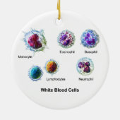 白血球の白血球の図表 セラミックオーナメント (裏面)