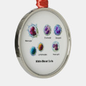 白血球の白血球の図表 メタルオーナメント (右)