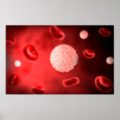 白血球の顕微鏡的見解 ポスター (正面)